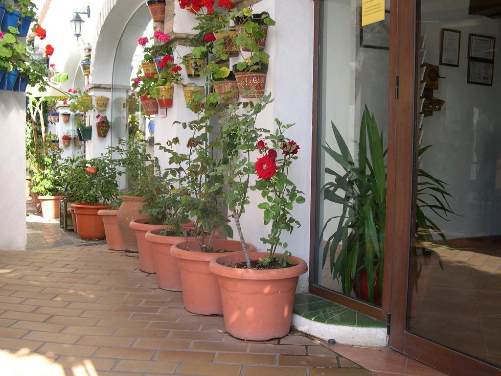 Hotel Cortijo Los Gallos Chiclana de la Frontera Exteriér fotografie